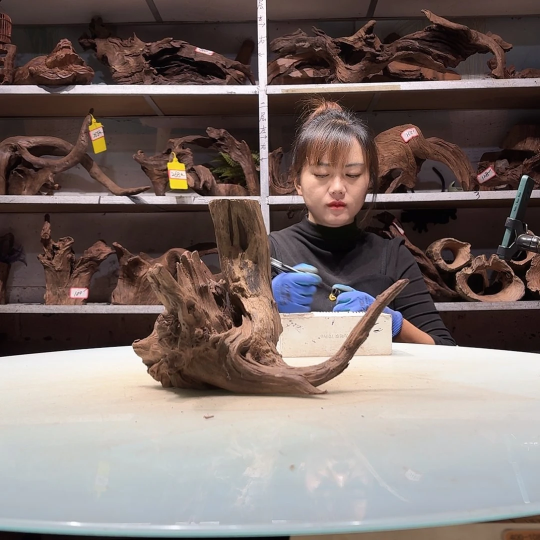 倍褚沉木不包损，必褪色无****70896