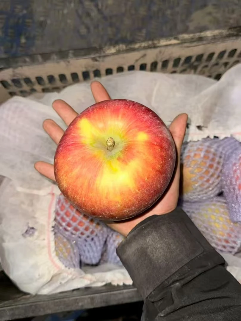 00后自己养的阿克苏冰糖心酸甜口脆爽现摘现发脆甜多汁好吃水果