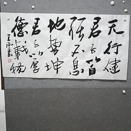 沉***年书法天行健，君子以自强不息