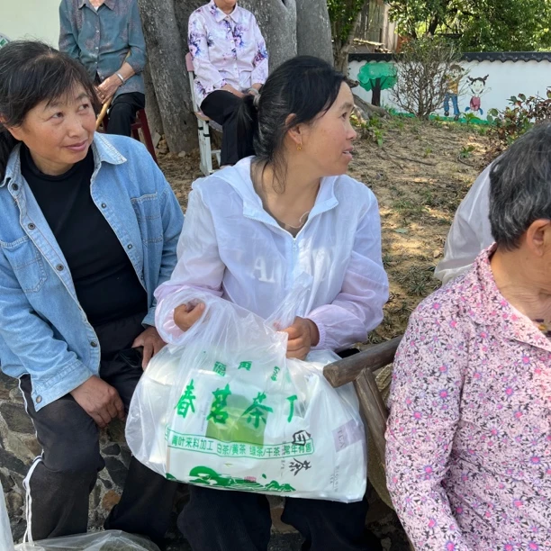 广德市吉山村农户茶叶 白茶3号