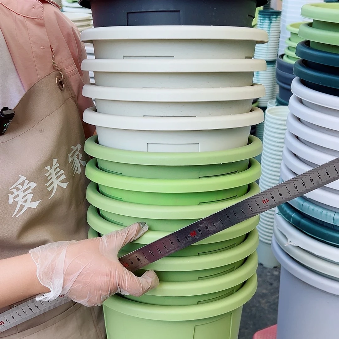 瑕疵玫瑰280#混色6个无托