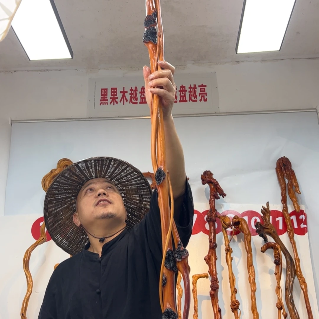 龙***号黑果木其他黑果木155