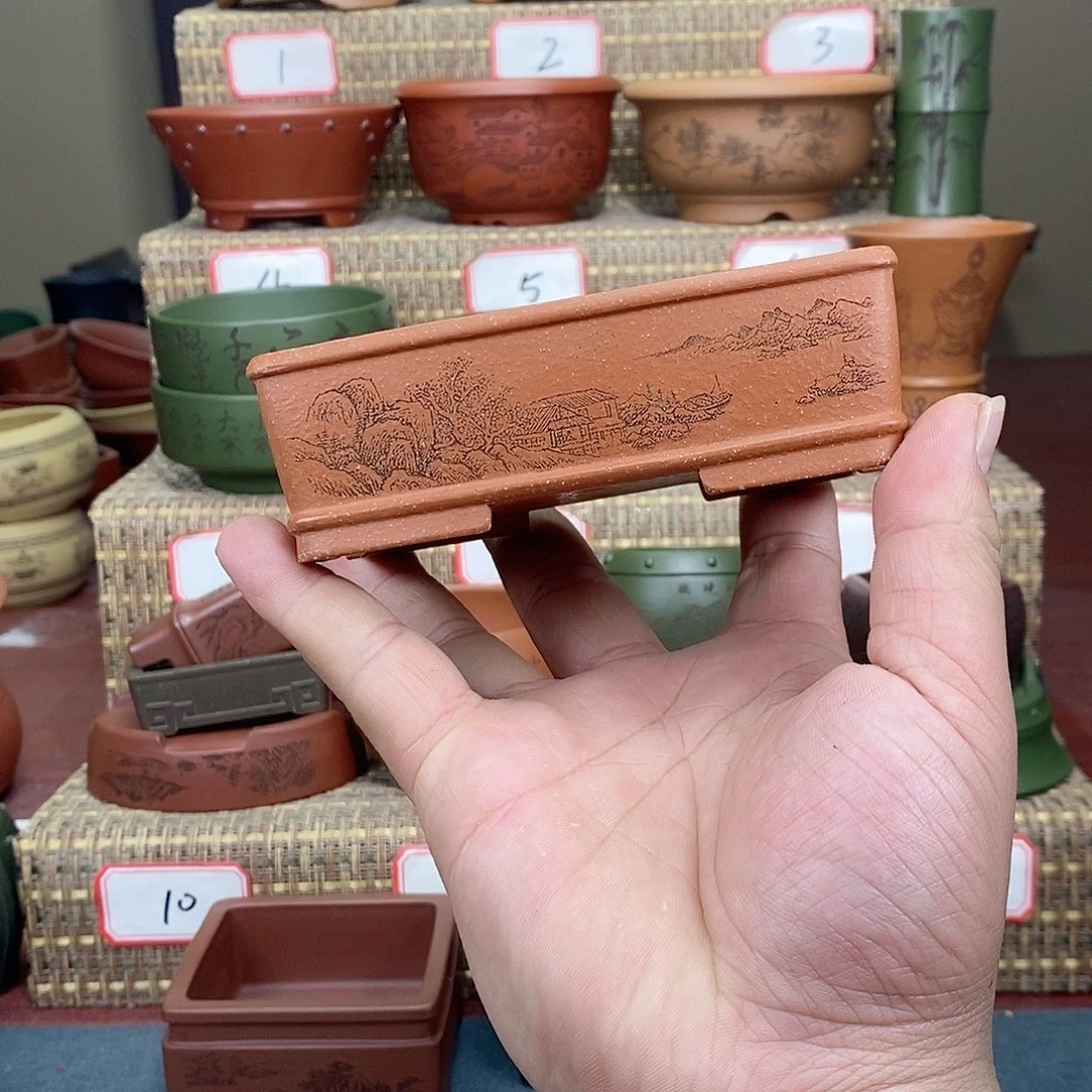 紫砂花盆在外面玩