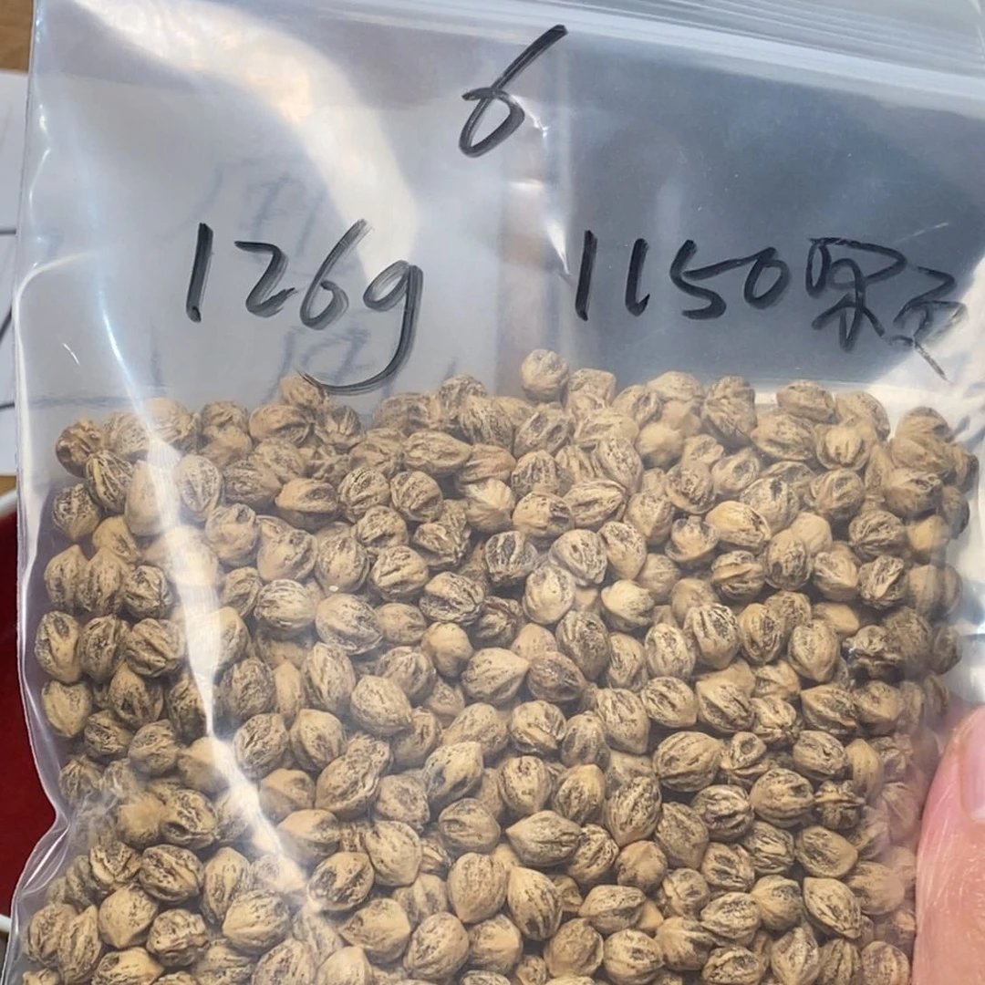 柏香籽/百香籽吊坠