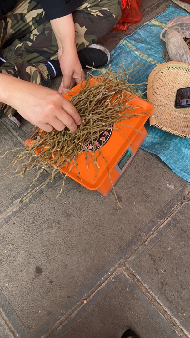 云滇山货-铁皮石斛粉