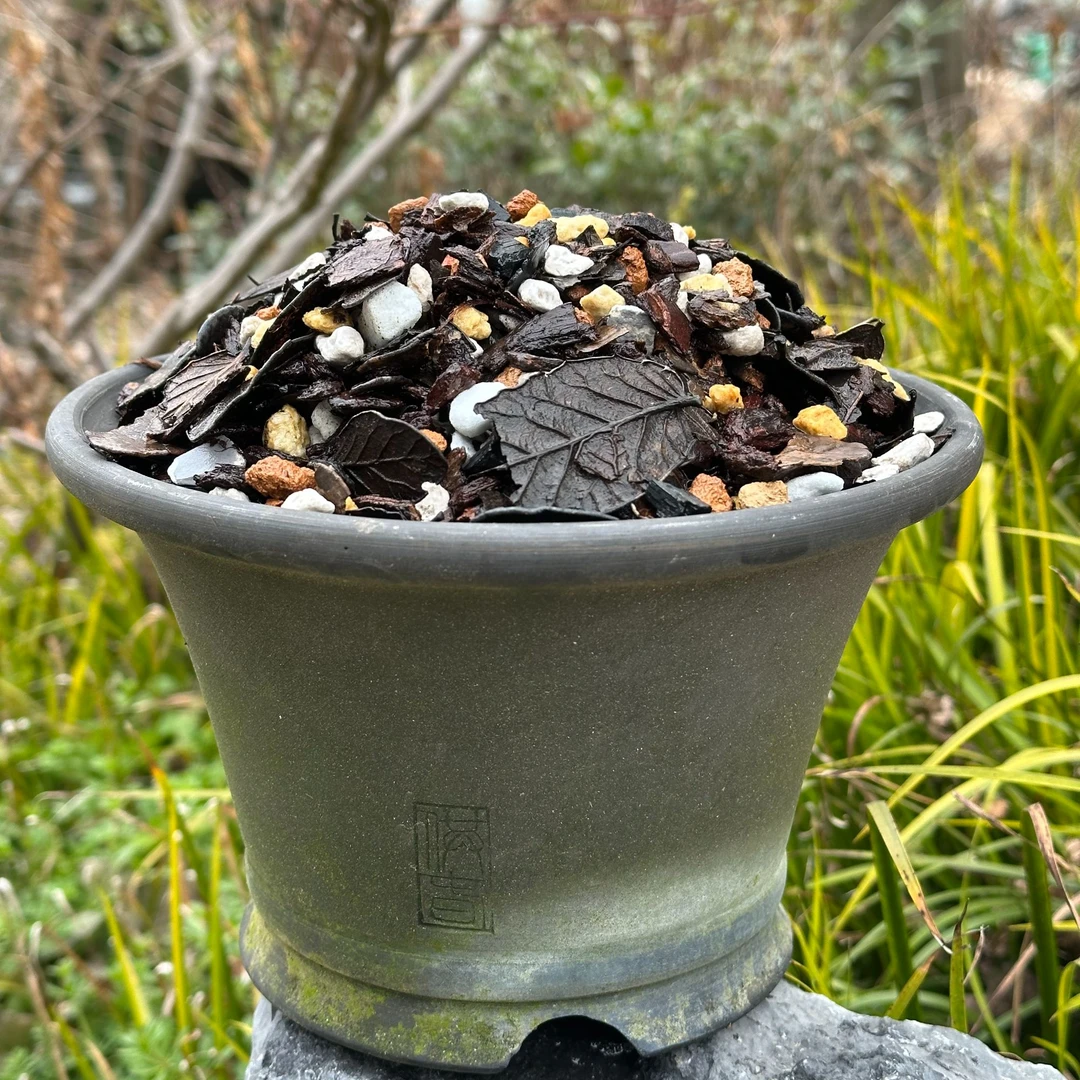 八合一高端兰花值料