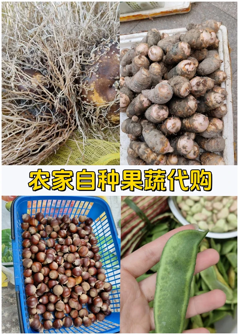 【农购】乡村自种蔬果山珍山货农家自产自种自养自晒