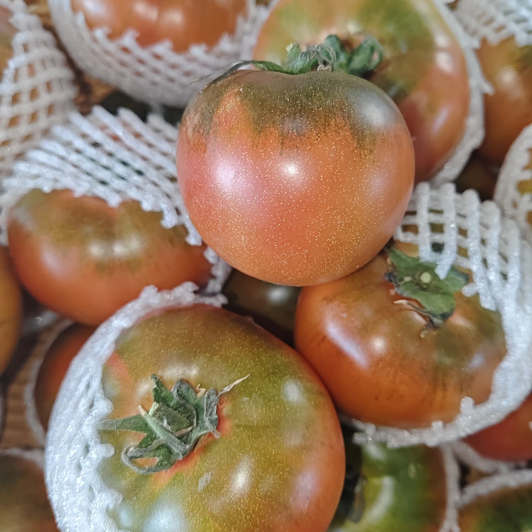 【国汇】自家碱地草莓柿子，净果5斤