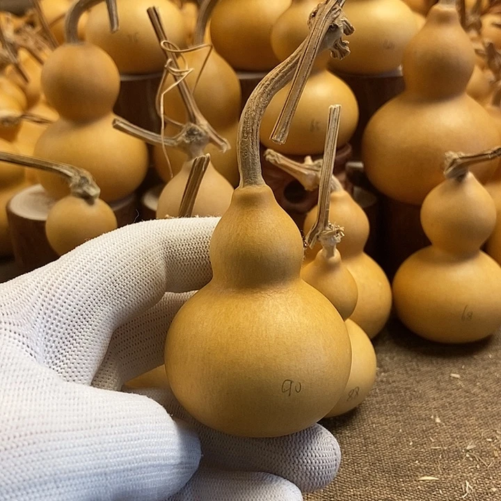 文玩葫芦 完美主义者 慎拍90