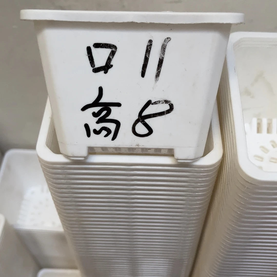 中厚口11高8白盆15个无托