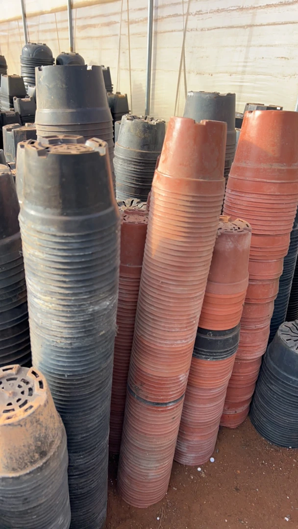 塑料旧花盆 红黑矮胖盆10-11口径混发（50个）浮力