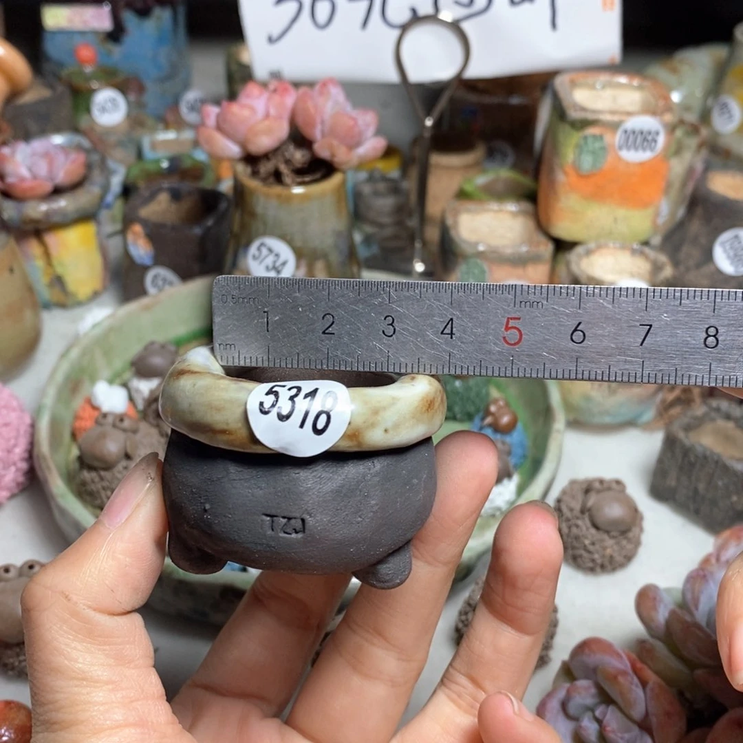 拍3送一个小礼物