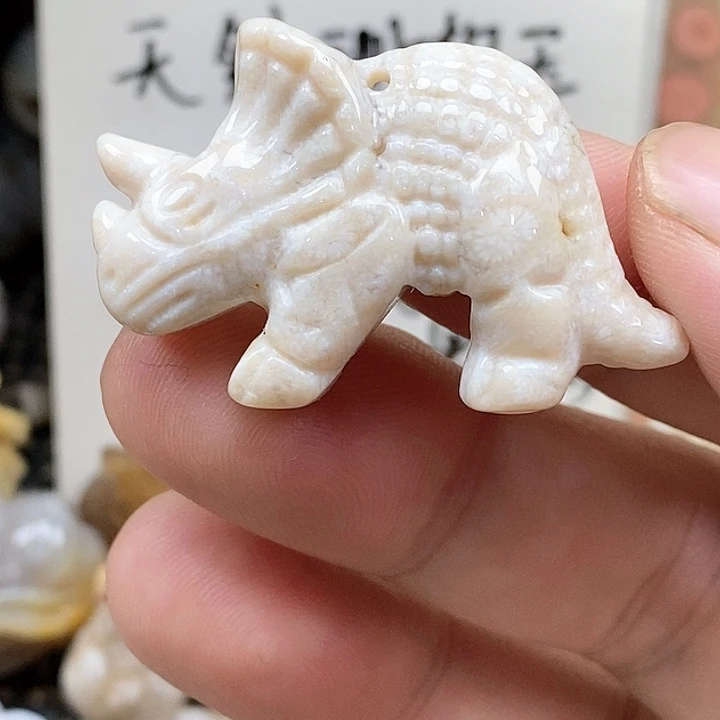 颈饰未镶嵌硅化珊瑚（珊瑚玉）