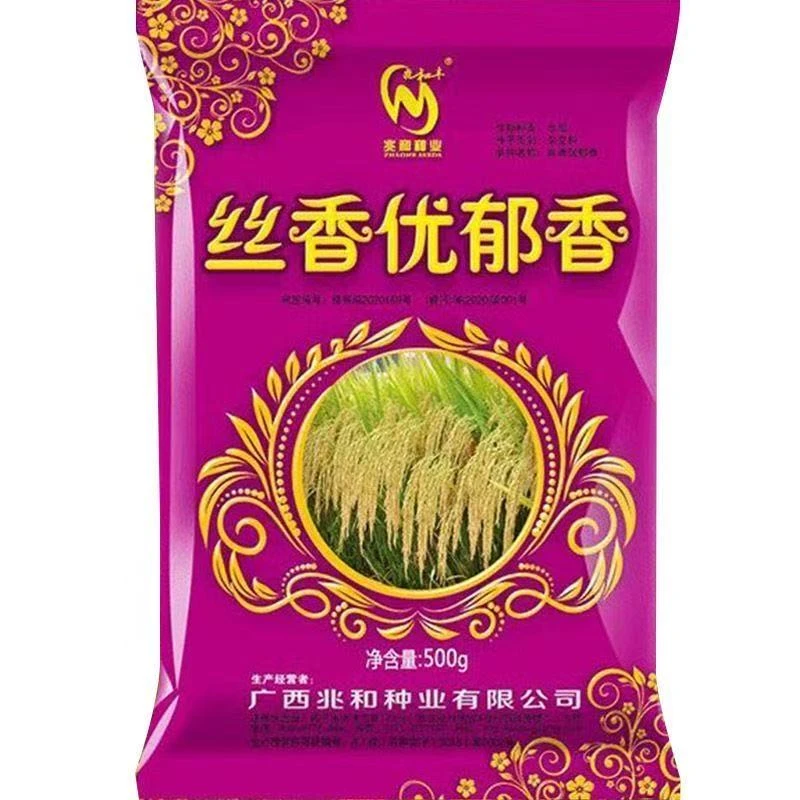 丝香优郁香大米水稻种子谷种稻谷抗病抗倒伏强水稻种