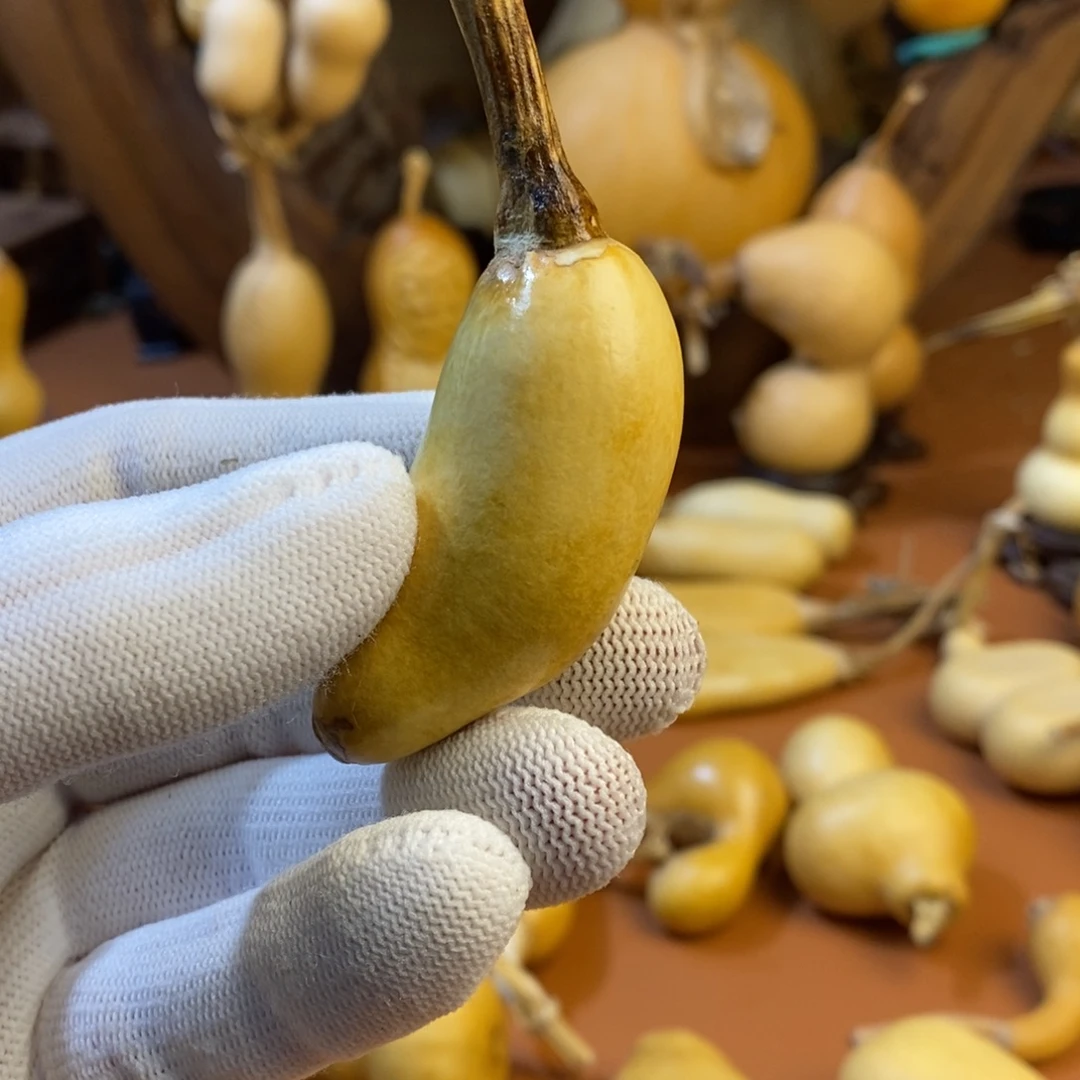 雄***J教练教练教练教练啦