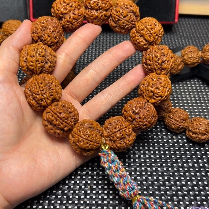 金刚菩提手串26青龙老树王