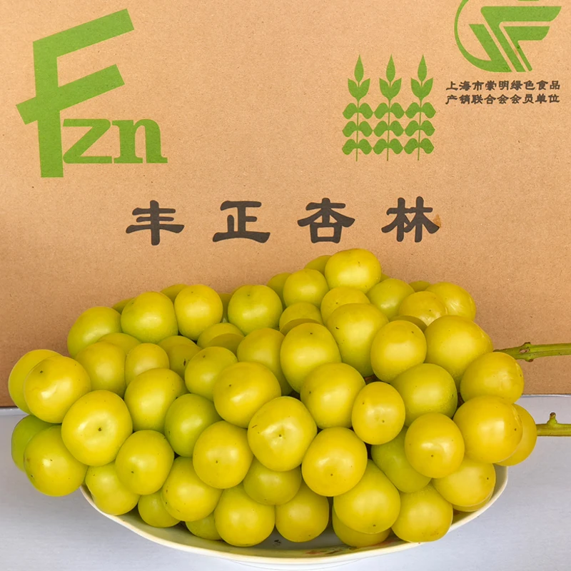 [发顺丰]正宗上海崇明黄金香印阳光青提绿色食品脆甜皮薄新鲜水果