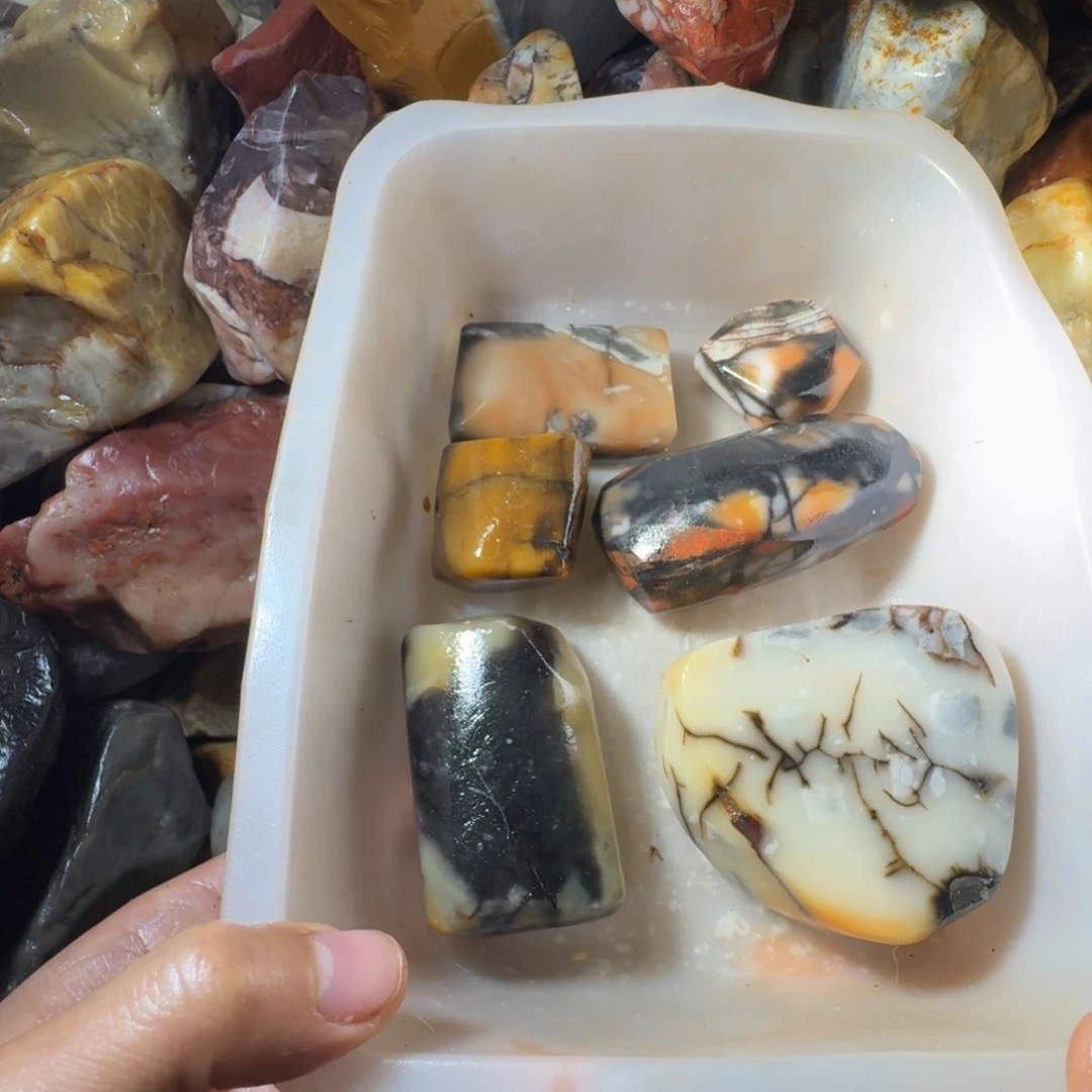 东***学寿山石899889988889