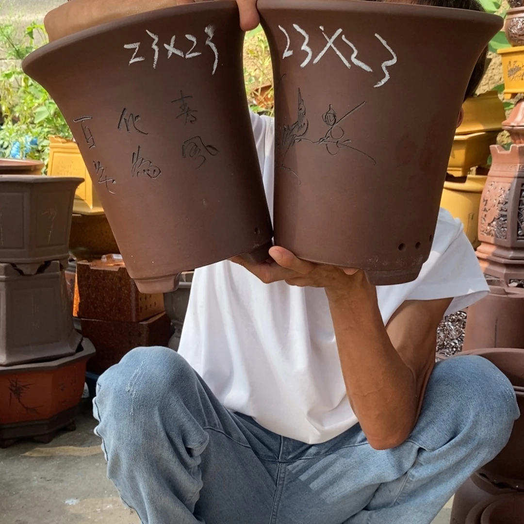 紫砂紫砂紫砂紫砂