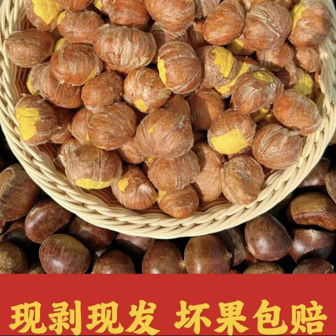 皖南老树板栗毛栗子粉糯香甜皮薄次日达现剥现发板栗大红袍毛栗子