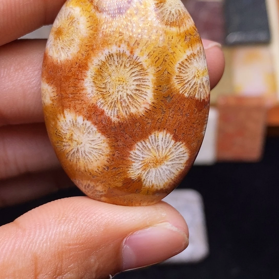 *****合金珊瑚玉硅化玉