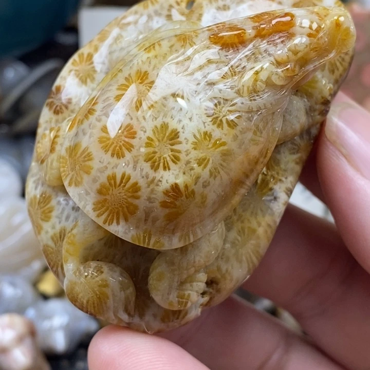 硅化珊瑚（珊瑚玉）未镶嵌颈饰