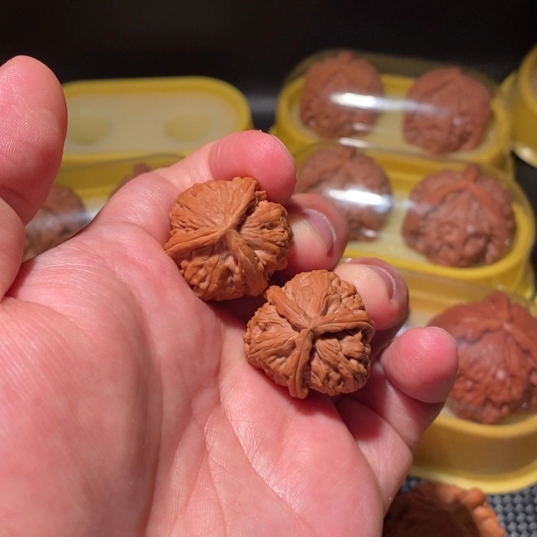 27白狮子正球奔精品对