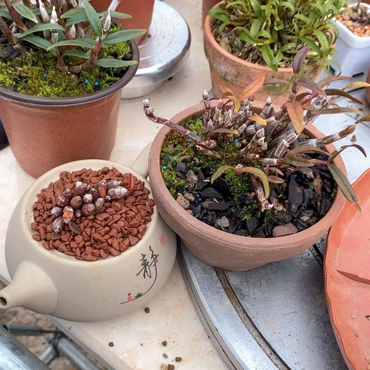 L****u米铁11111111111