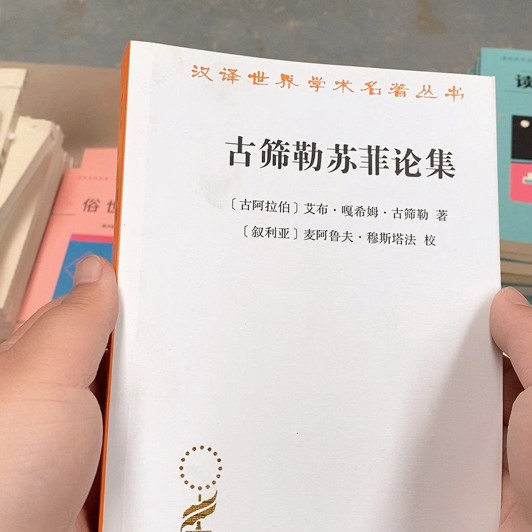 古筛勒苏菲论集……
