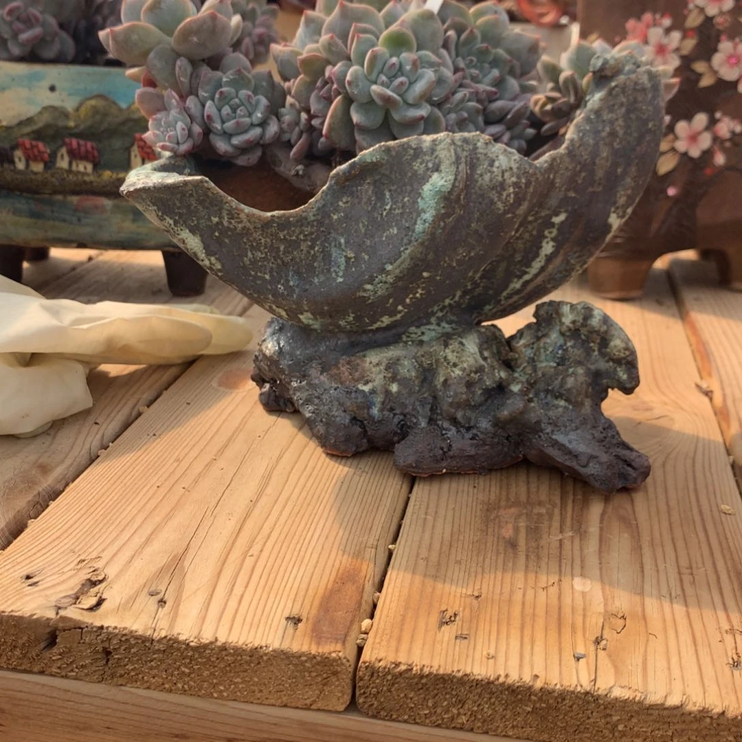 飞****了飞飞鱼常青藤多肉花盆