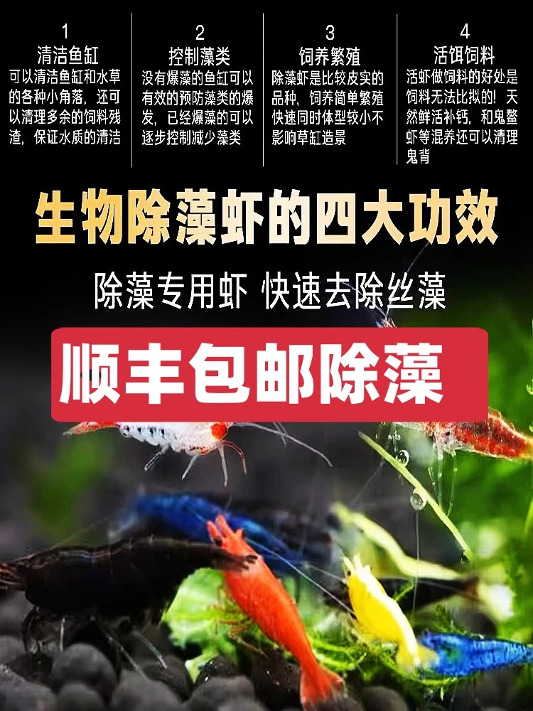 顺风包邮补差价套餐观赏虾