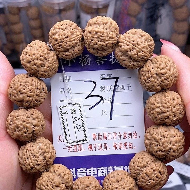 金刚菩提手串21龙珠蜂王