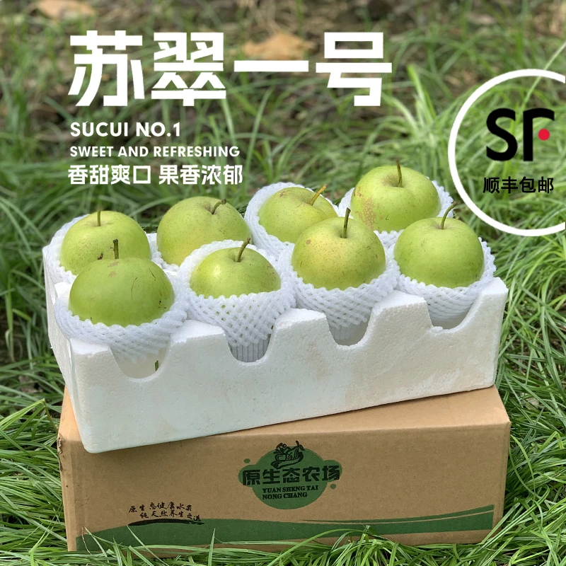 正宗苏翠1号顺丰包邮青梨脆梨现摘现发脆甜多汁无渣