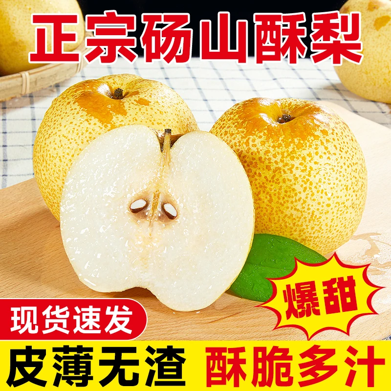 正宗安徽宿州砀山酥梨5斤新鲜水果百年老树梨子当季砀山梨汤山