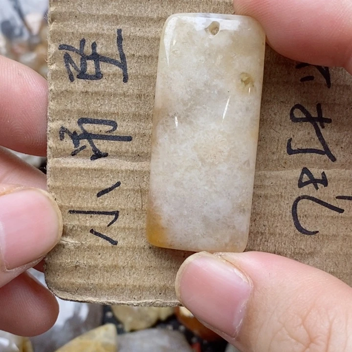 硅化珊瑚（珊瑚玉）未镶嵌颈饰◇****落