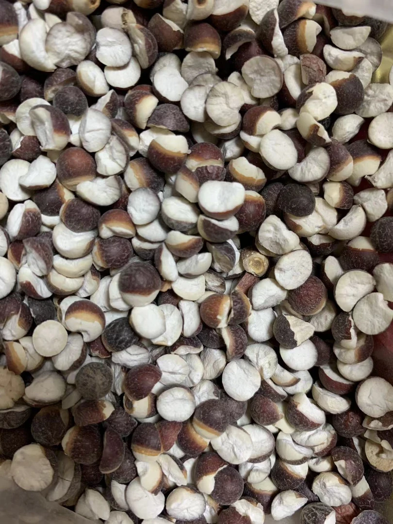 潮汕特产农产品芡实可煲汤