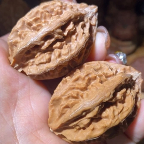 把件文玩核桃东北野生楸子小美67