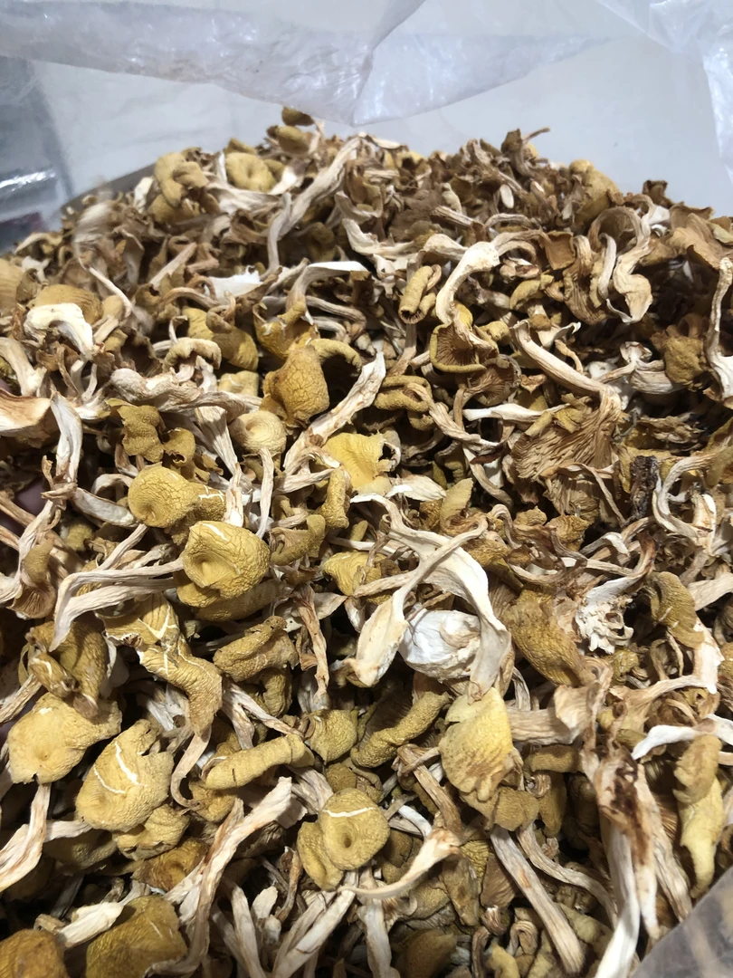 东北河鲜大母豹+空运