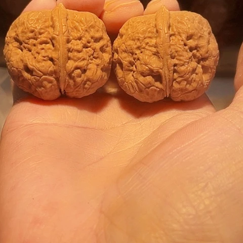 文玩核桃把件粗筋小霸王带彩39