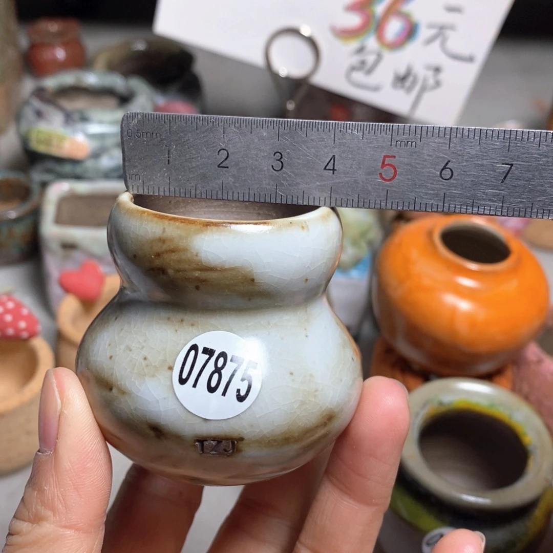花盆拍5送一个小礼物