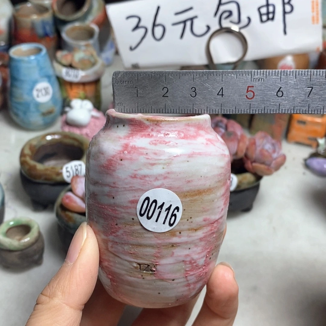 拍5送一个小礼物
