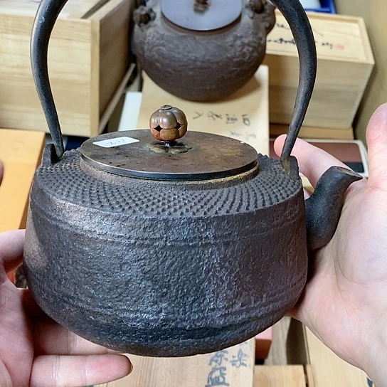 紫砂哈哈哈哈哈哈哈哈