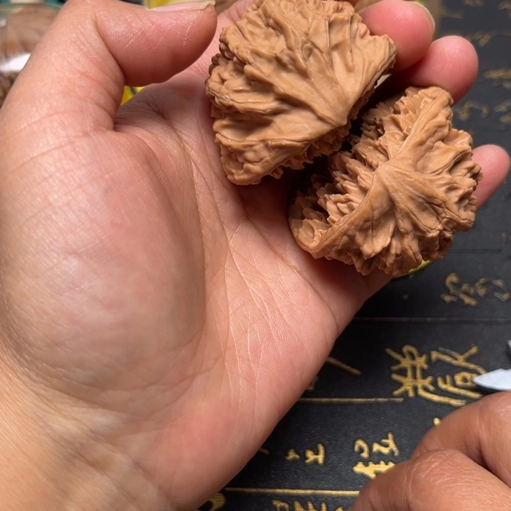 帝王蛇全品无修46尺