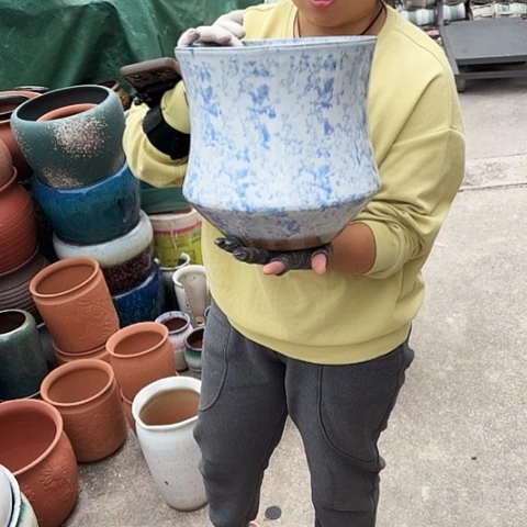 24口25高瑕疵一个盆子。