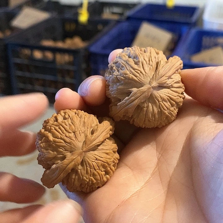 核桃手串/手链闷白