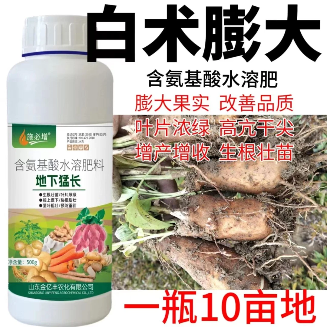 白术专用膨大素白术地下根茎膨大素促根壮苗快速膨大茎秆粗壮增产