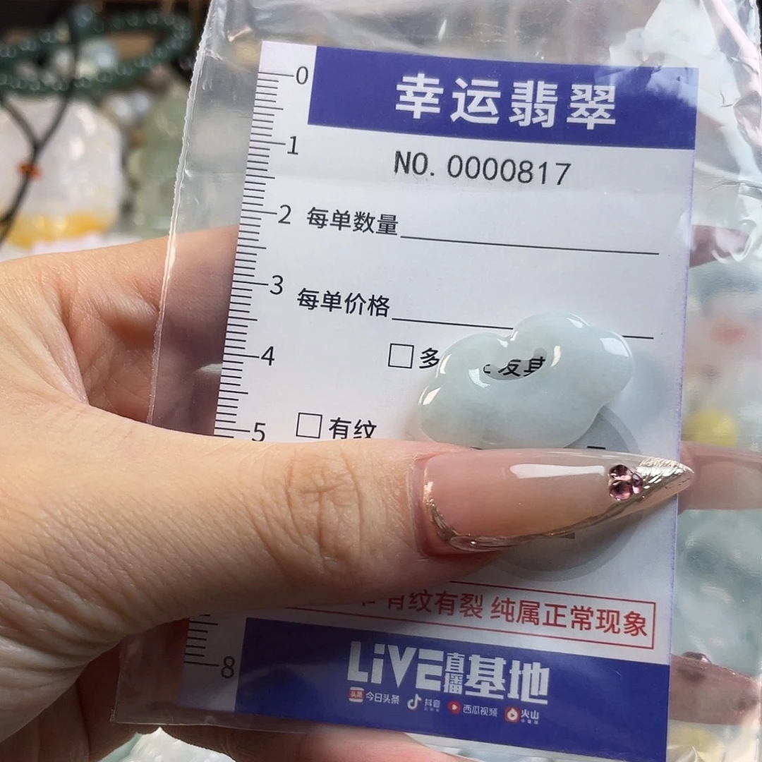 翡翠未镶嵌颈饰Hhh