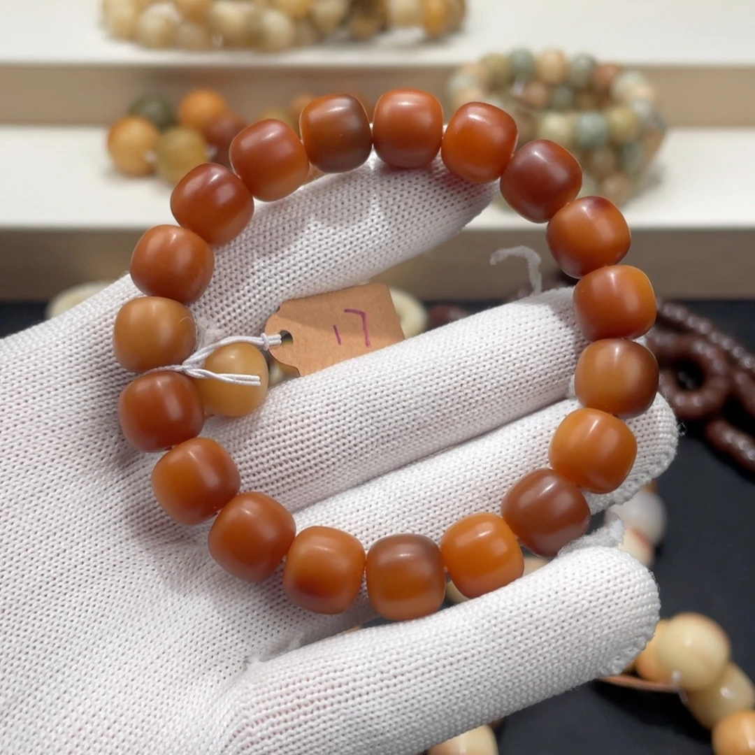 吊坠菩提根/象牙果卡12加州阳光