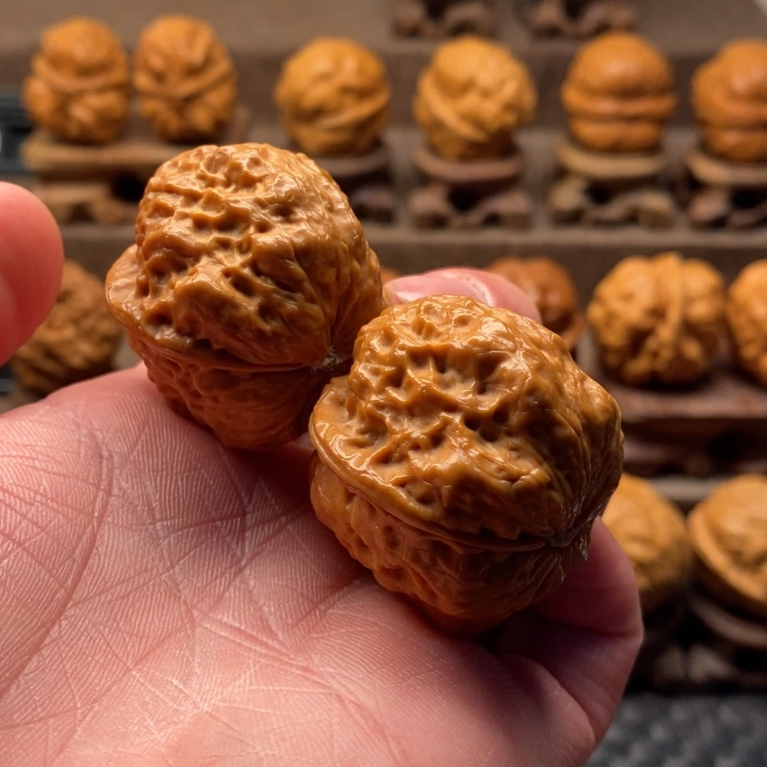 文玩核桃把件龙脊金蟾王38尺寸