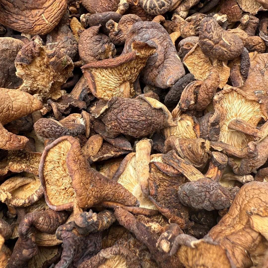 云南纯野生香菇香信菇新货非种植高原特产煲汤